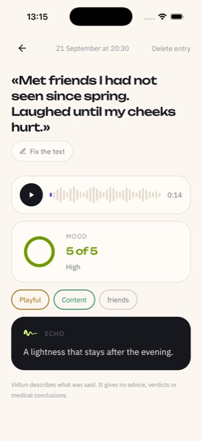 An entry card: audio, mood, emotions and the echo