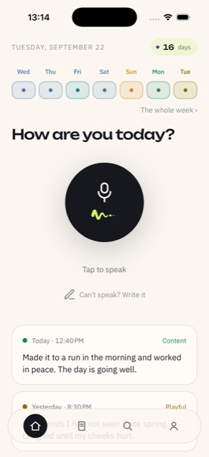 Recording screen with the timer and the voice wave