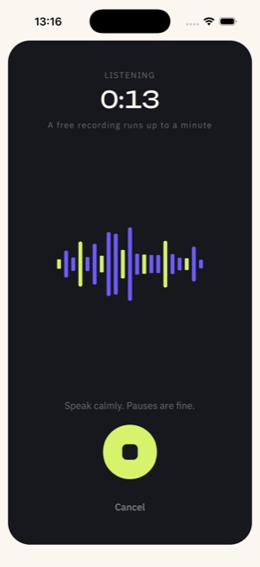 Recording screen with the timer and the voice wave